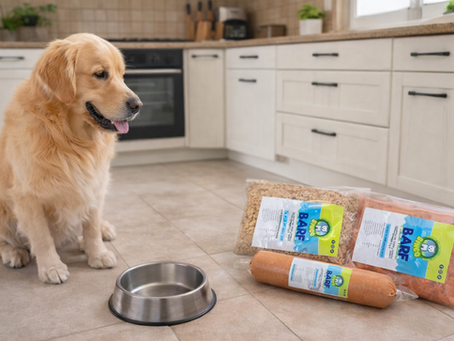 BINGO MASCOTAS – Nutrición Natural con Alimentación real, balanceada y pensada para el bienestar integral de tu mascota.