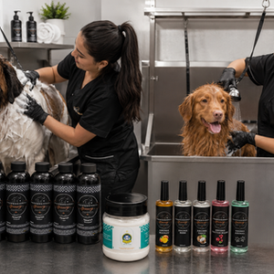 BINGO MASCOTAS – Línea de productos para Grooming