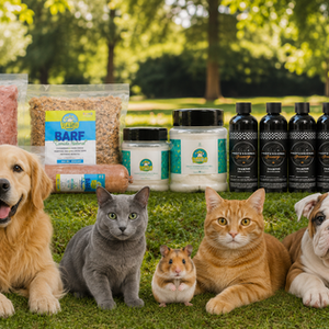 BINGO MASCOTAS – Explora nuestros productos.