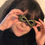 Thumbnail: Yellow Eye Barrette