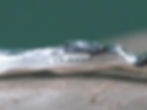 Thumbnail: Medium molten silver bangle