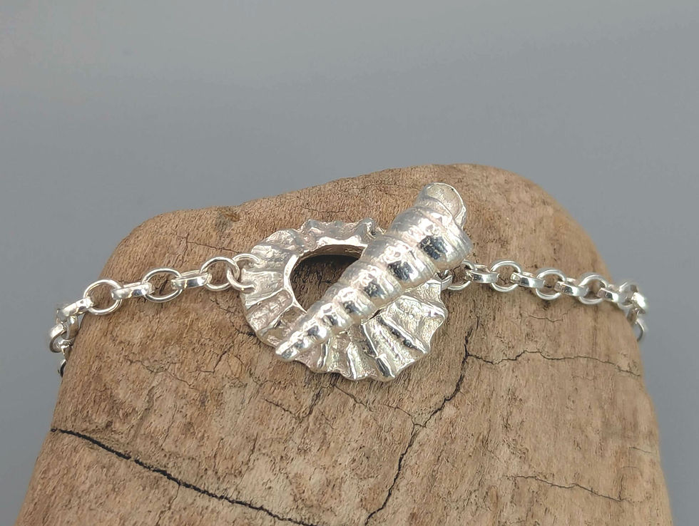 Thumbnail: Silver limpet & twirly auger shell toggle T-bar bracelet