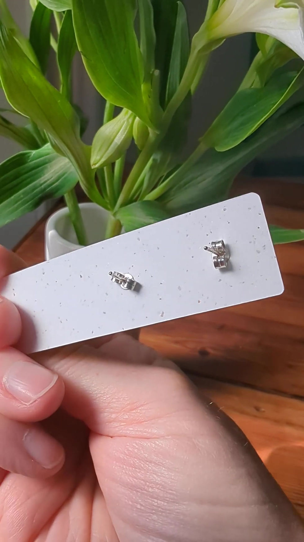 Thumbnail: hand holds a cowrie craft stud display card and turns it from front to back showing front of the shells and butterfly backs