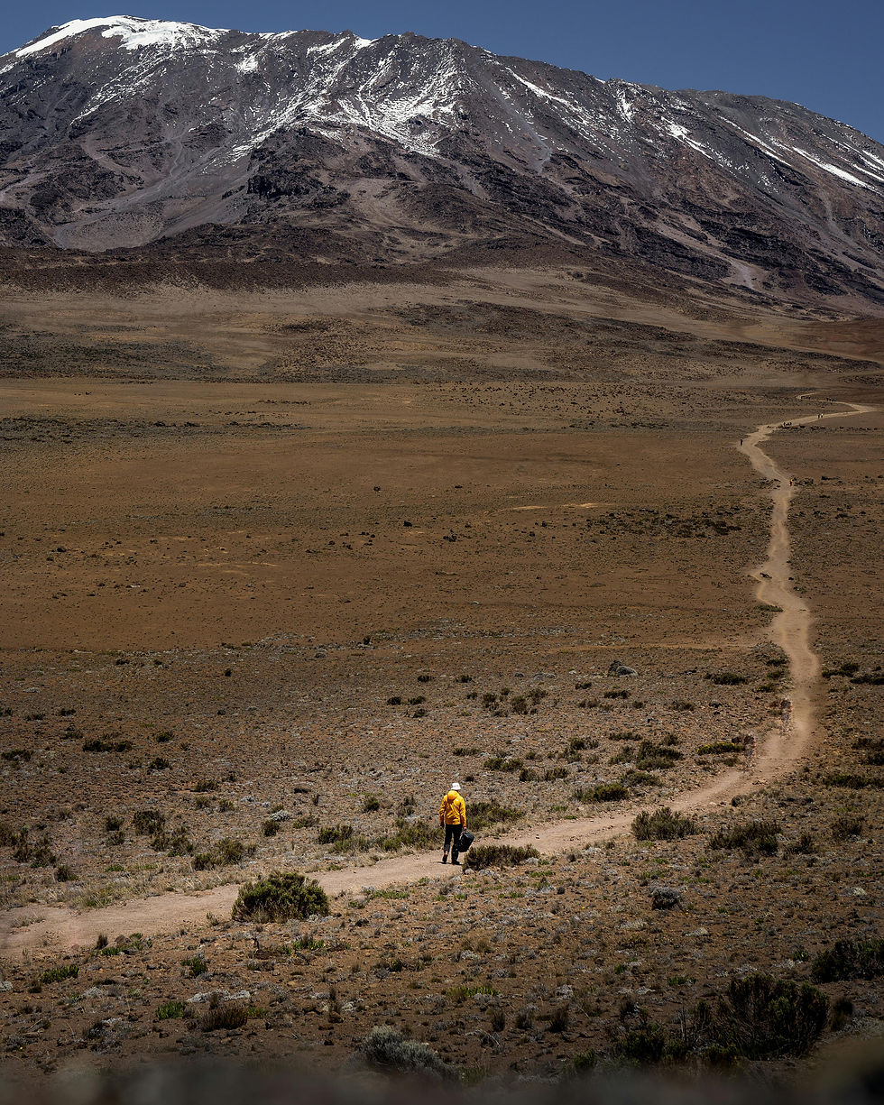 Kilimanjaro Route