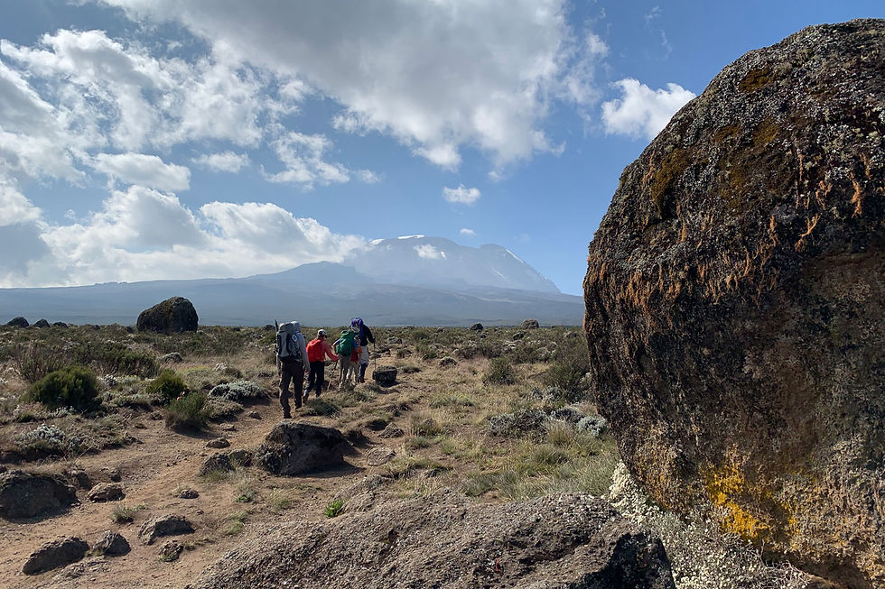 Northern Circuit Route - Kilimanjaro