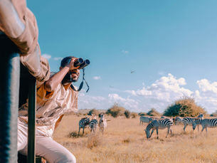 How We Plan Your Perfect Safari with Explore Unlimited