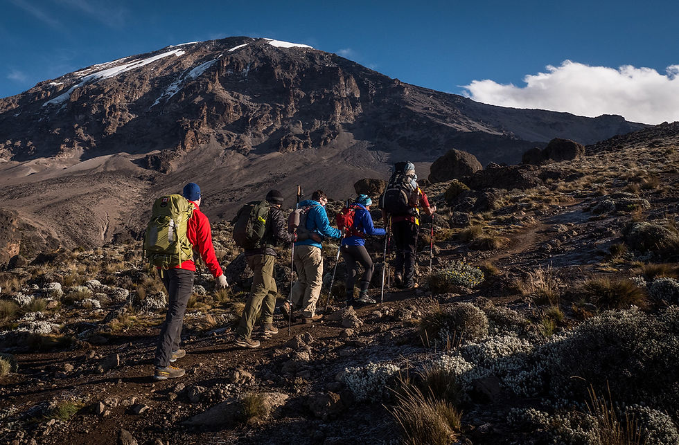Hikers enrote to Uhuru Peak - Kilimanjaro