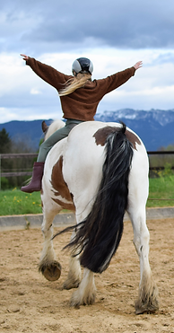 Reittherapie in Penzberg