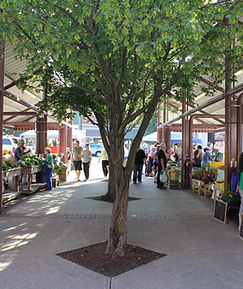 Screen Shot 2023-10-13 at 8.17.42 PM.png