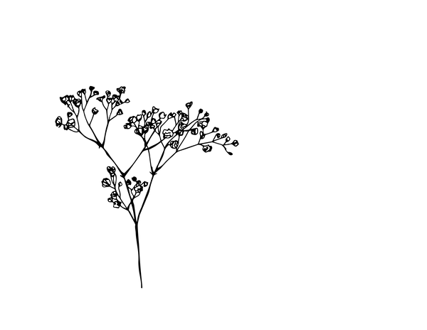 gypso-01.png