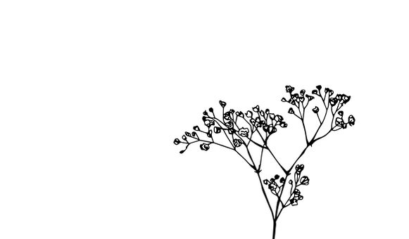 gypso-01_edited.png