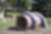 _7300006.JPG
