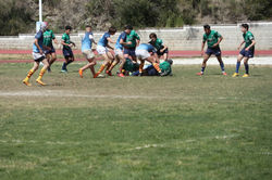 971151119877319155_IMG_1586