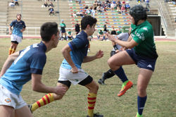 -5376526908987879297_IMG_1601