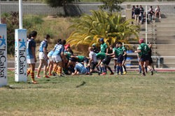 7811118012085048421_IMG_1396