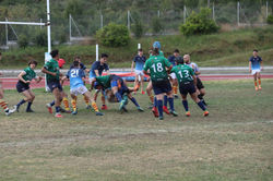 -1004229135194079371_IMG_1559