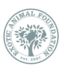 EAF Logo Rehab blue.png