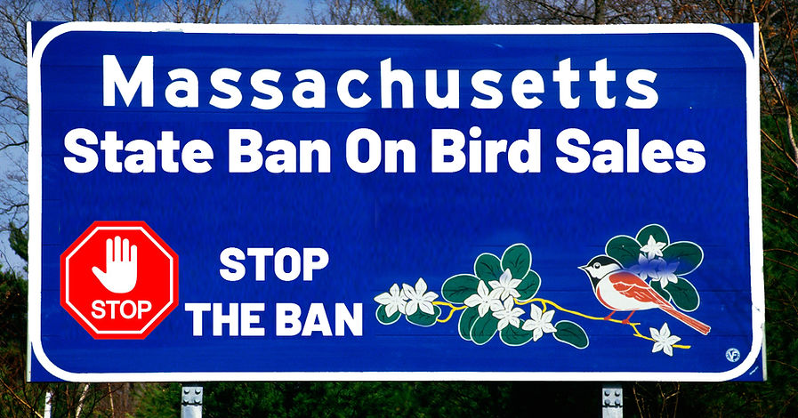 Massachusetts copy.jpg