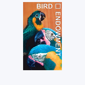 No Image.jpg