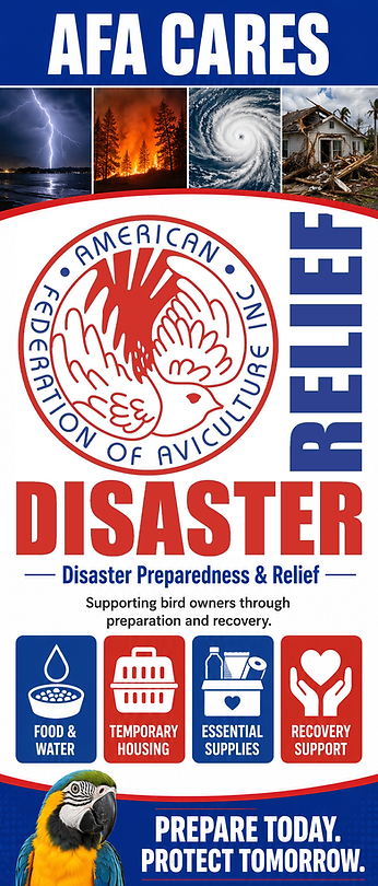 disaster relief.png