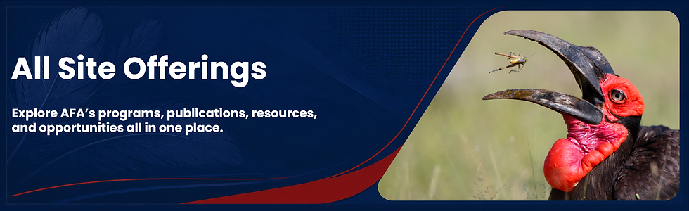All Site Offerings.png