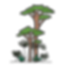 My document (39).png
