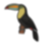 My document (38).png