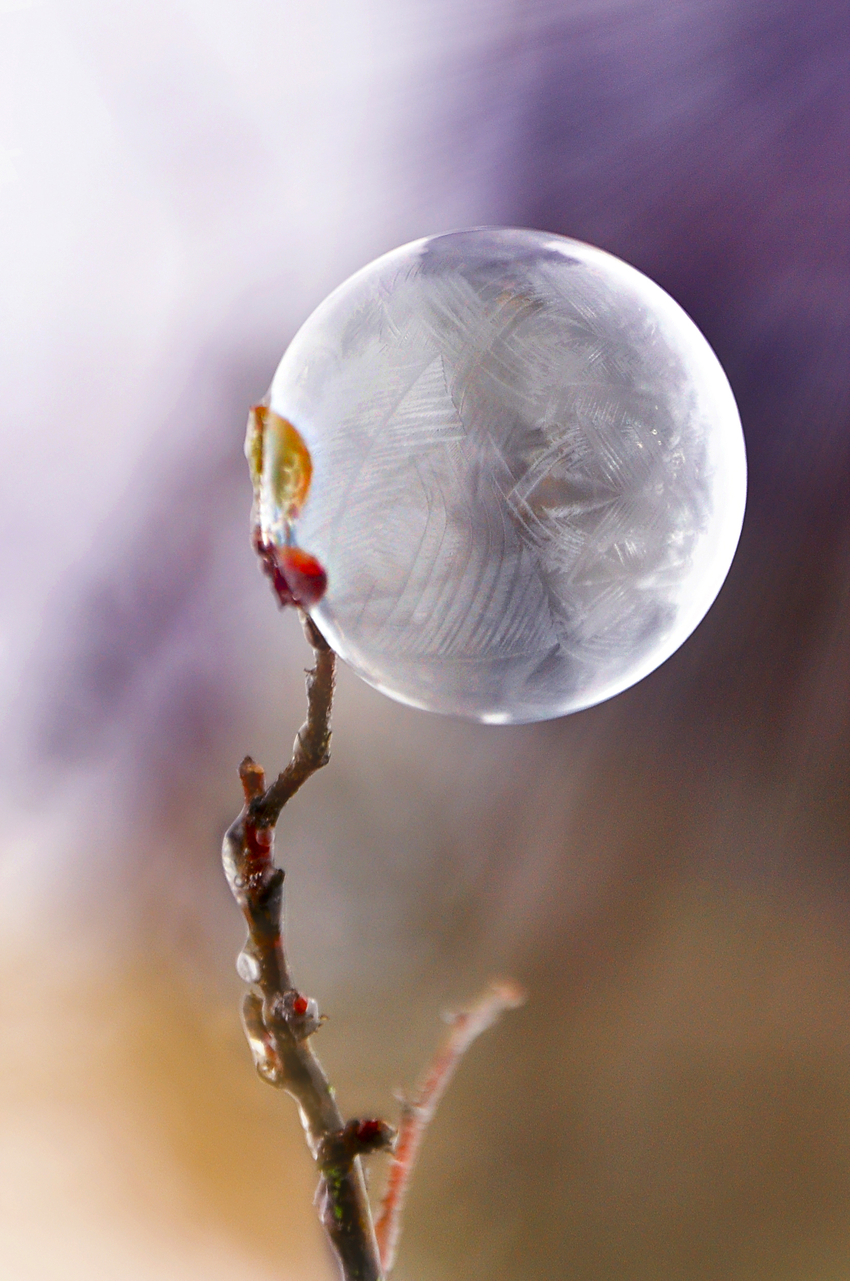 Wintermond