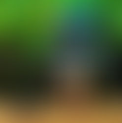𝗕𝘂𝗼𝗻𝗲 𝗙𝗲𝗿𝗶𝗲 𝗮 𝗧𝘂𝘁𝘁𝗶!!!