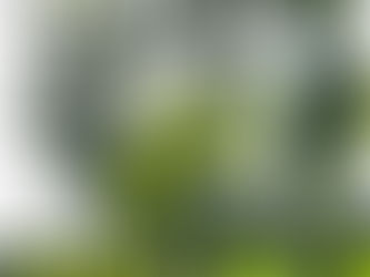 𝐀𝐋𝐙𝐀, 𝐒𝐂𝐇𝐈𝐀𝐂𝐂𝐈𝐀, 𝐕𝐈𝐍𝐂𝐈!!!