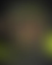 Allenare il 𝐂𝐎𝐑𝐏𝐎 è 𝐅𝐎𝐍𝐃𝐀𝐌𝐄𝐍𝐓𝐀𝐋𝐄