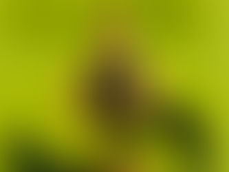 𝐑𝐞𝐬𝐩𝐢𝐫𝐚𝐳𝐢𝐨𝐧𝐞 𝟒-𝟕-𝟖