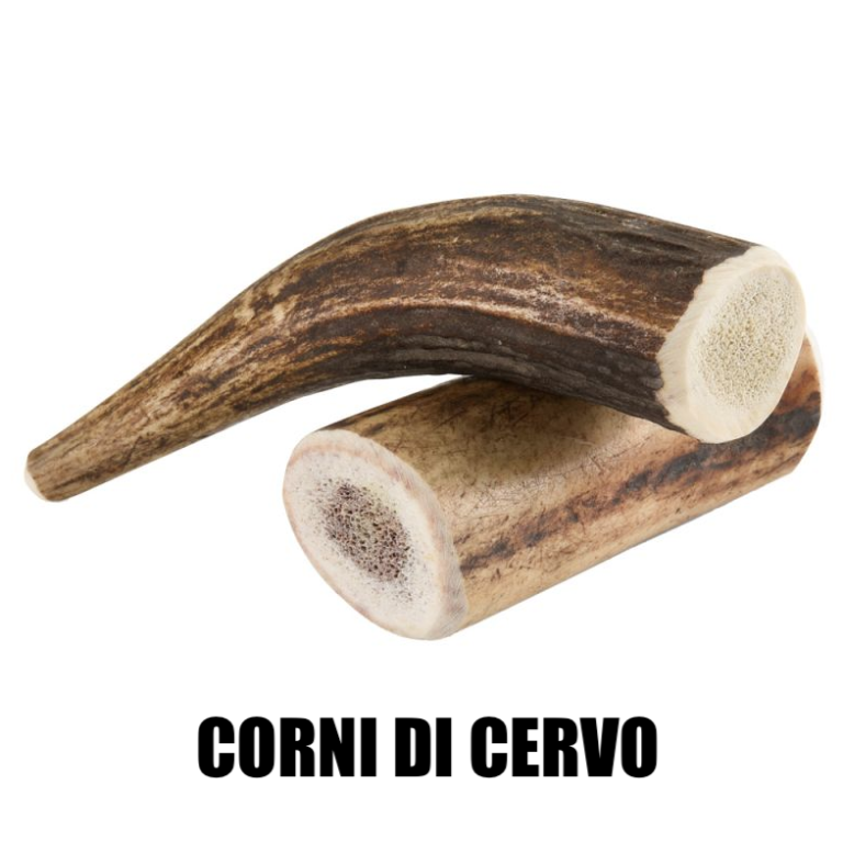 Corna Di Cervo Per Cani Fanno Male