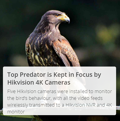Top Predator is Kept in Focus by Hikvision 4K Cameras.png