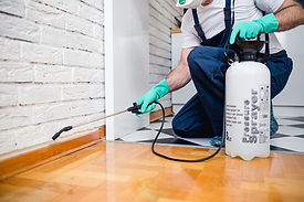 pest control1 (1).jpg
