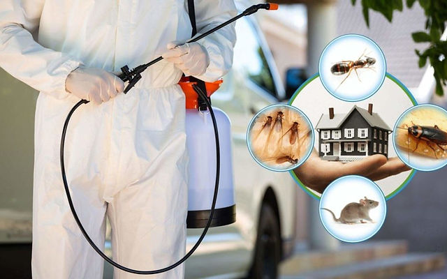 طرق مكافحة الحشرات
