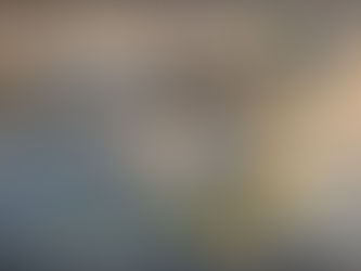 خدمات مكافحة الحشرات بام الساهك سهام الخليج لمكافحة الحشرات