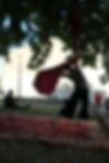 P1000478.JPG