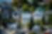 Residential Houses - Wellington - New Zealand.jpg
