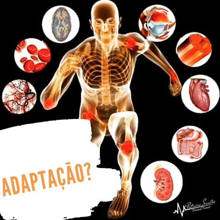 ADAPTAÇÃO?