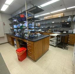 image1.jpg