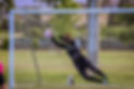 IMG_8074.jpeg