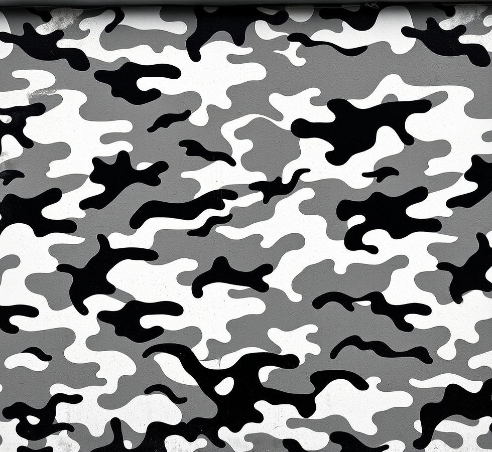 urban camo white and black and gray_.jpg