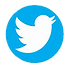 Twitter Logo.png