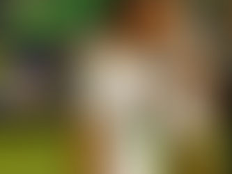 "Siamo pronti a lasciare il segno": intervista esclusiva a Gianlcua Andreoni, cuore del Real Partalle