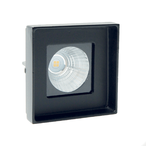 Prometeo QRG Spotlight Hawkshore Marine