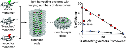 The Impact of Assembly State on the Defect Tolerance of TMV-based Light Harvesting Arrays