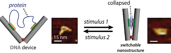stephanopoulos lab