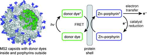 Nanoscale Integration of Sensitizing Chromophores and Porphyrins Using Bacteriophage MS2