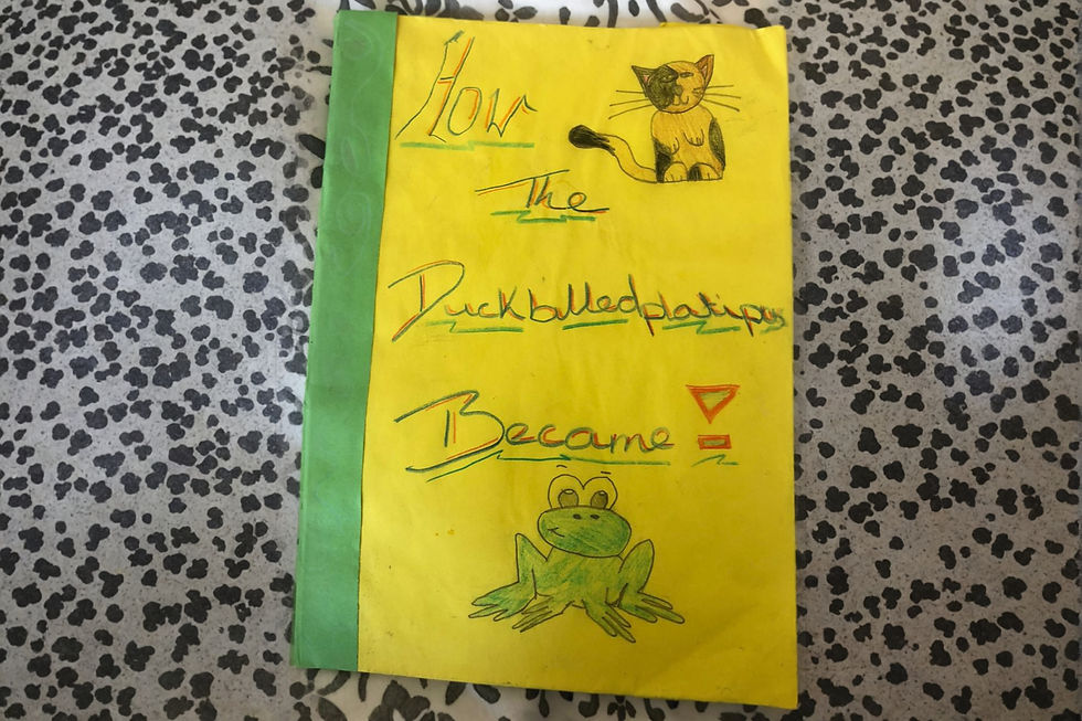 Hand drawn children's picture book